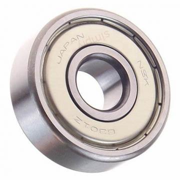 Fak 6301 NSK Deep Groove Ball Bearing Made in Japan for Auto Parts/Agricultural Machinery/Spare Parts