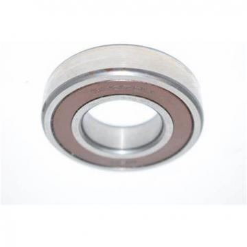 Large Size 6911 Deep Groove Ball Bearing for Lawn Mower